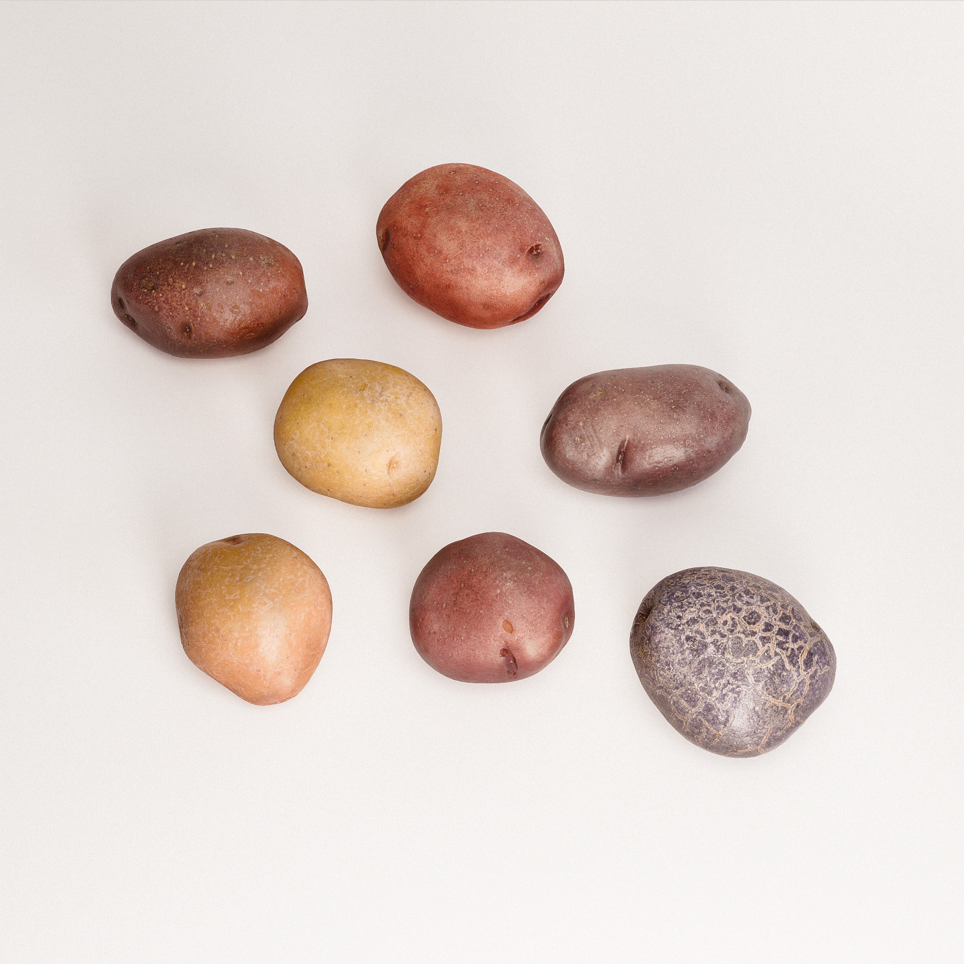 Rainbow Potatoes Set Low-poly 3D model_2