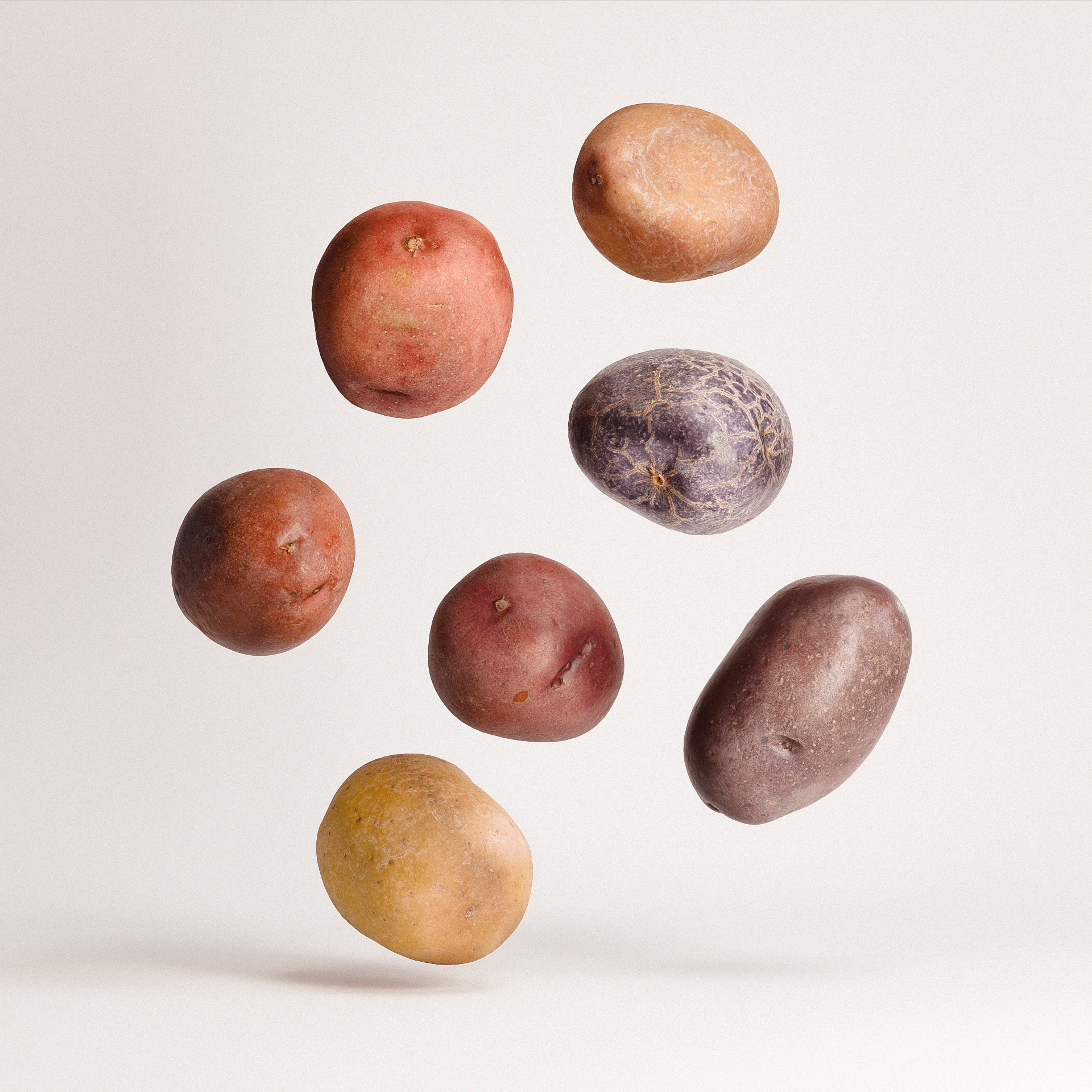 Rainbow Potatoes Set Low-poly 3D model_1