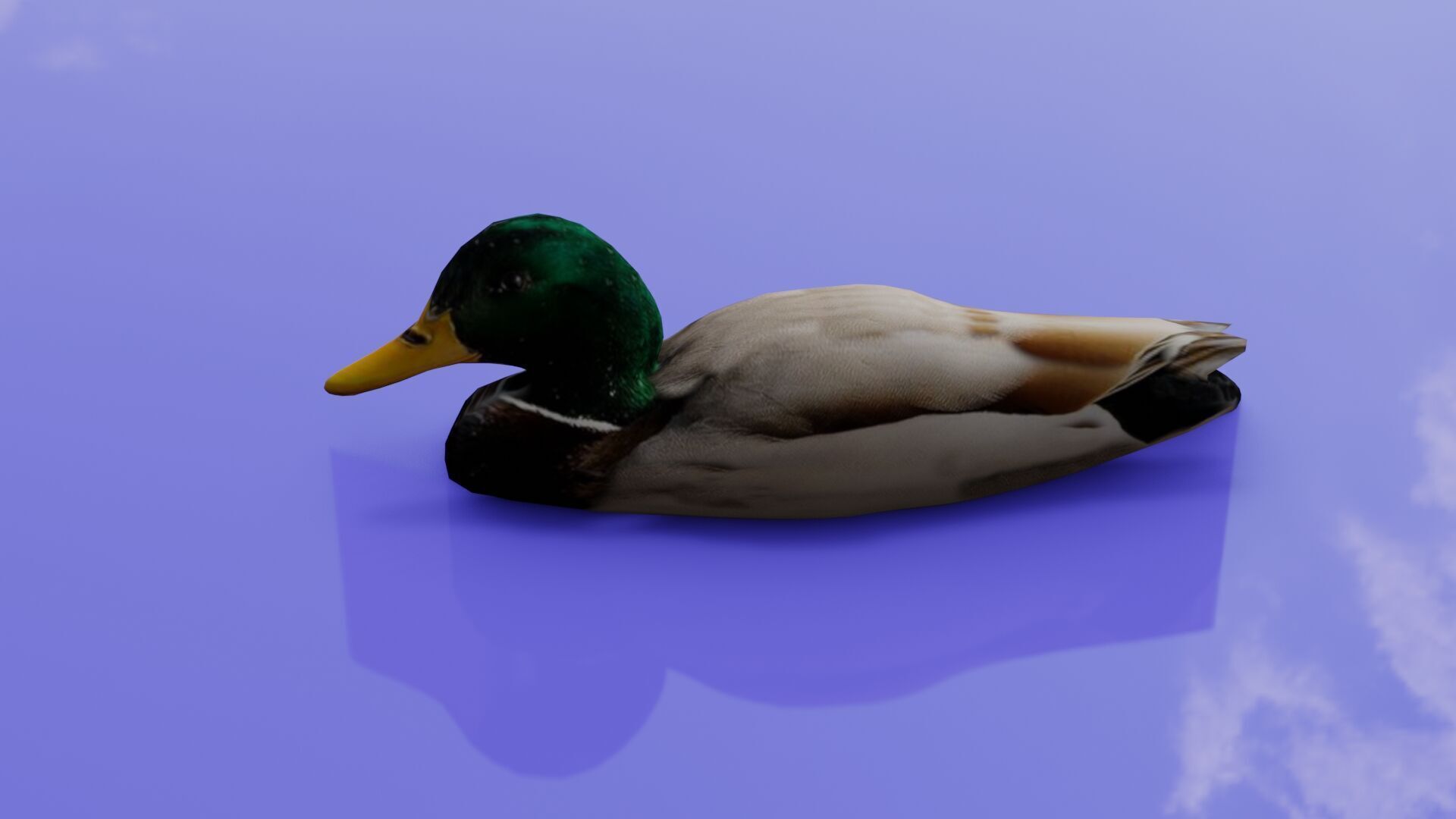 Duck 3D model Low-poly 3D model_24