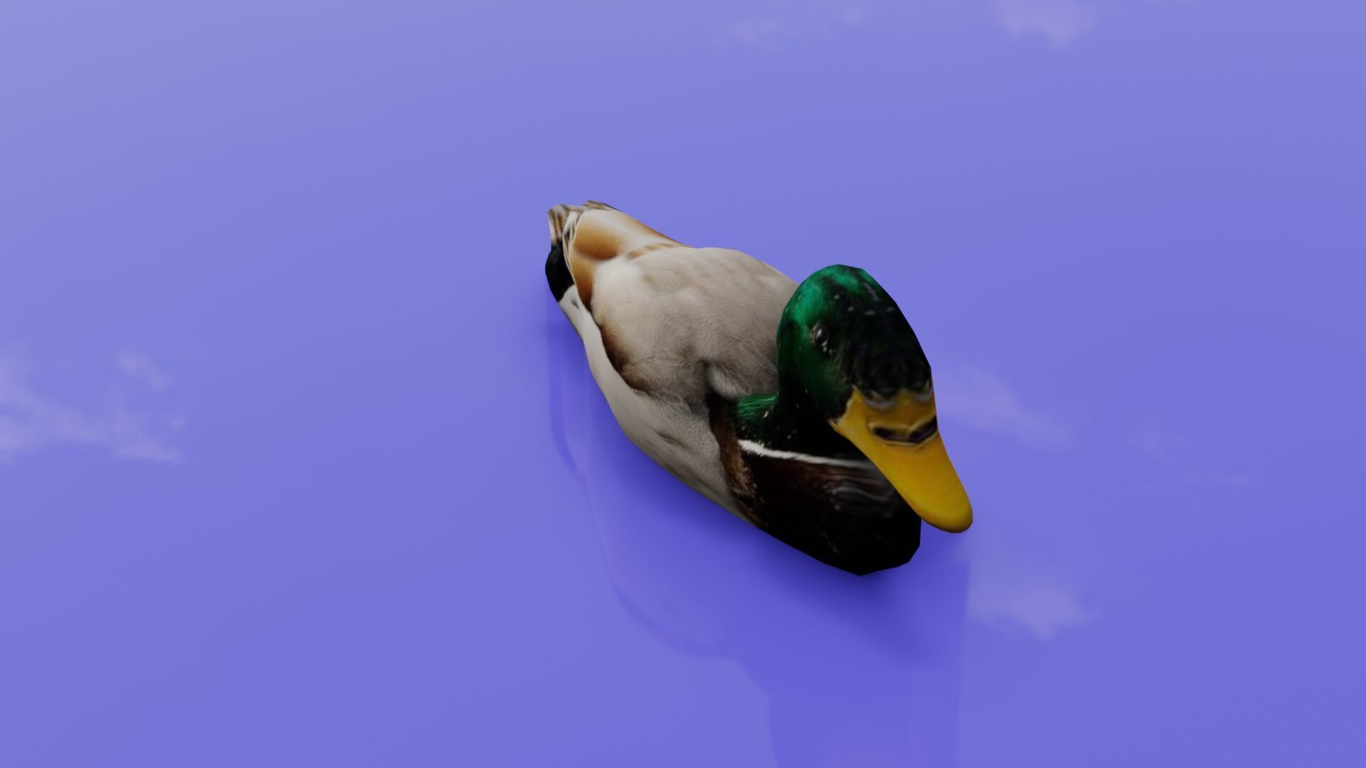 Duck 3D model Low-poly 3D model_21