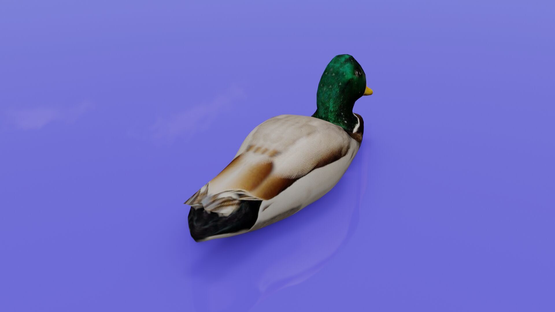 Duck 3D model Low-poly 3D model_28