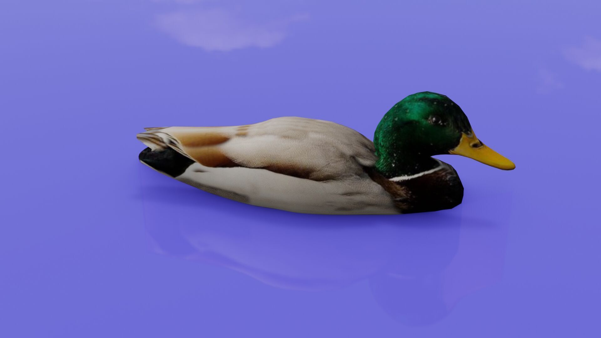 Duck 3D model Low-poly 3D model_31