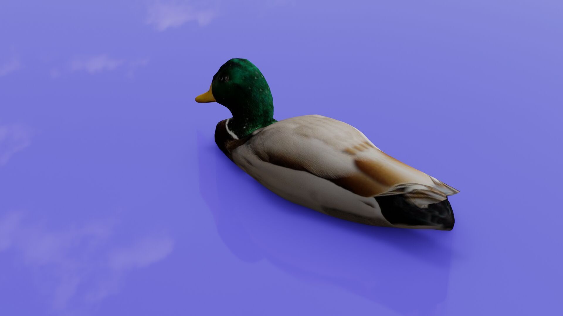 Duck 3D model Low-poly 3D model_13