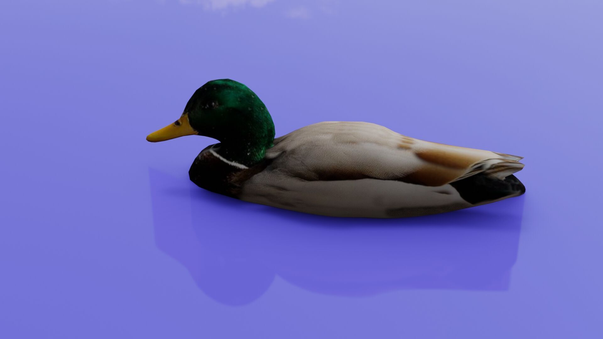 Duck 3D model Low-poly 3D model_37