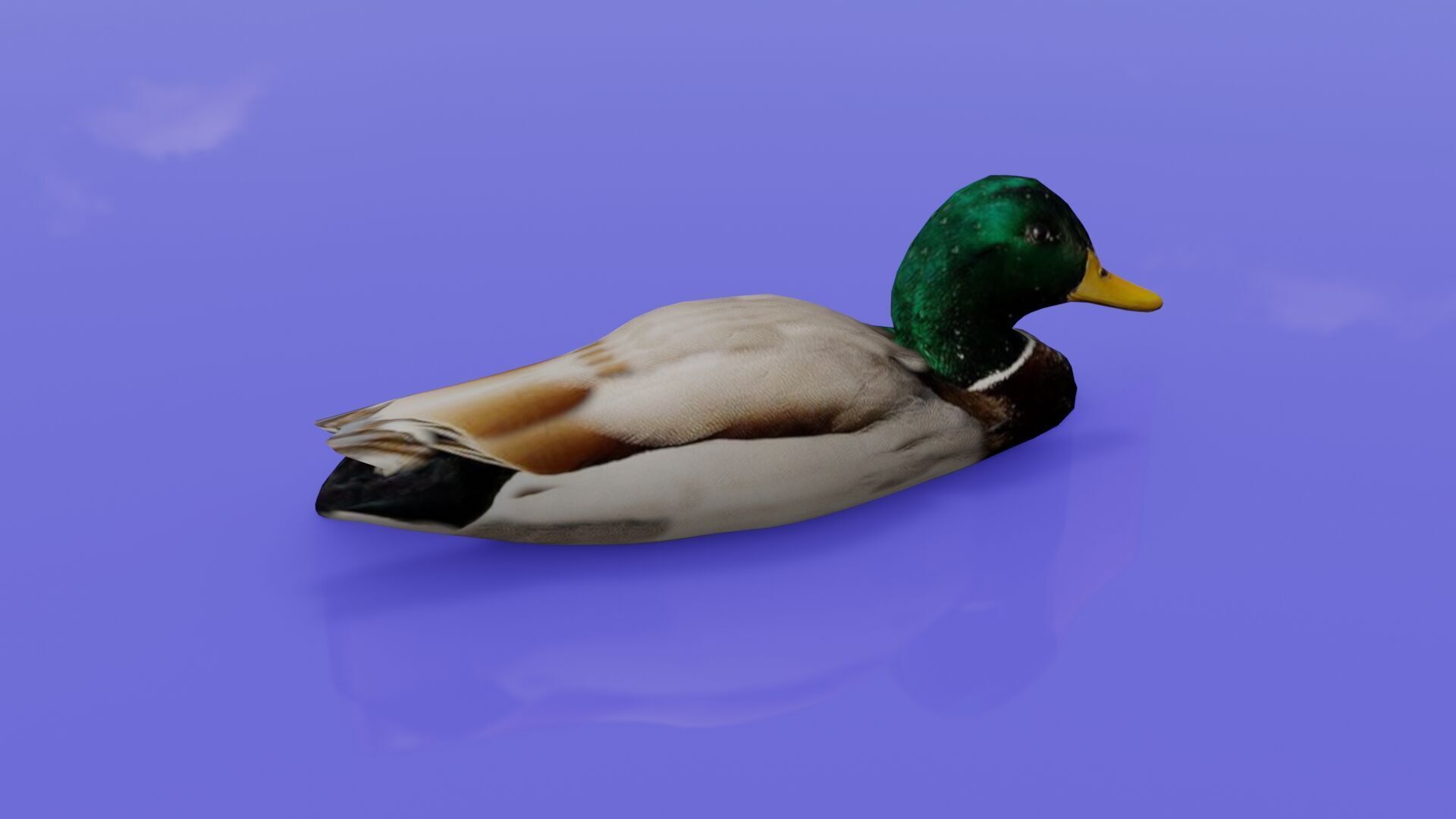 Duck 3D model Low-poly 3D model_7