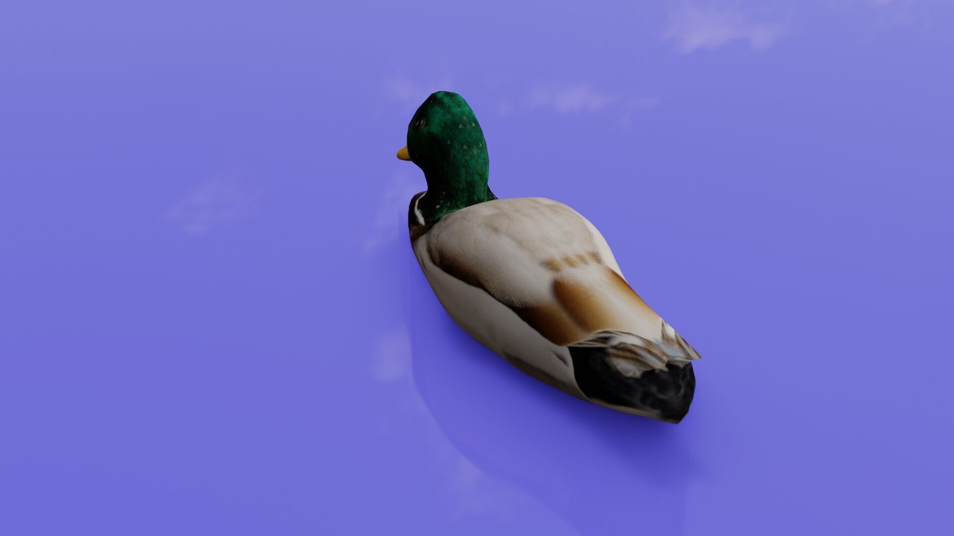 Duck 3D model Low-poly 3D model_38
