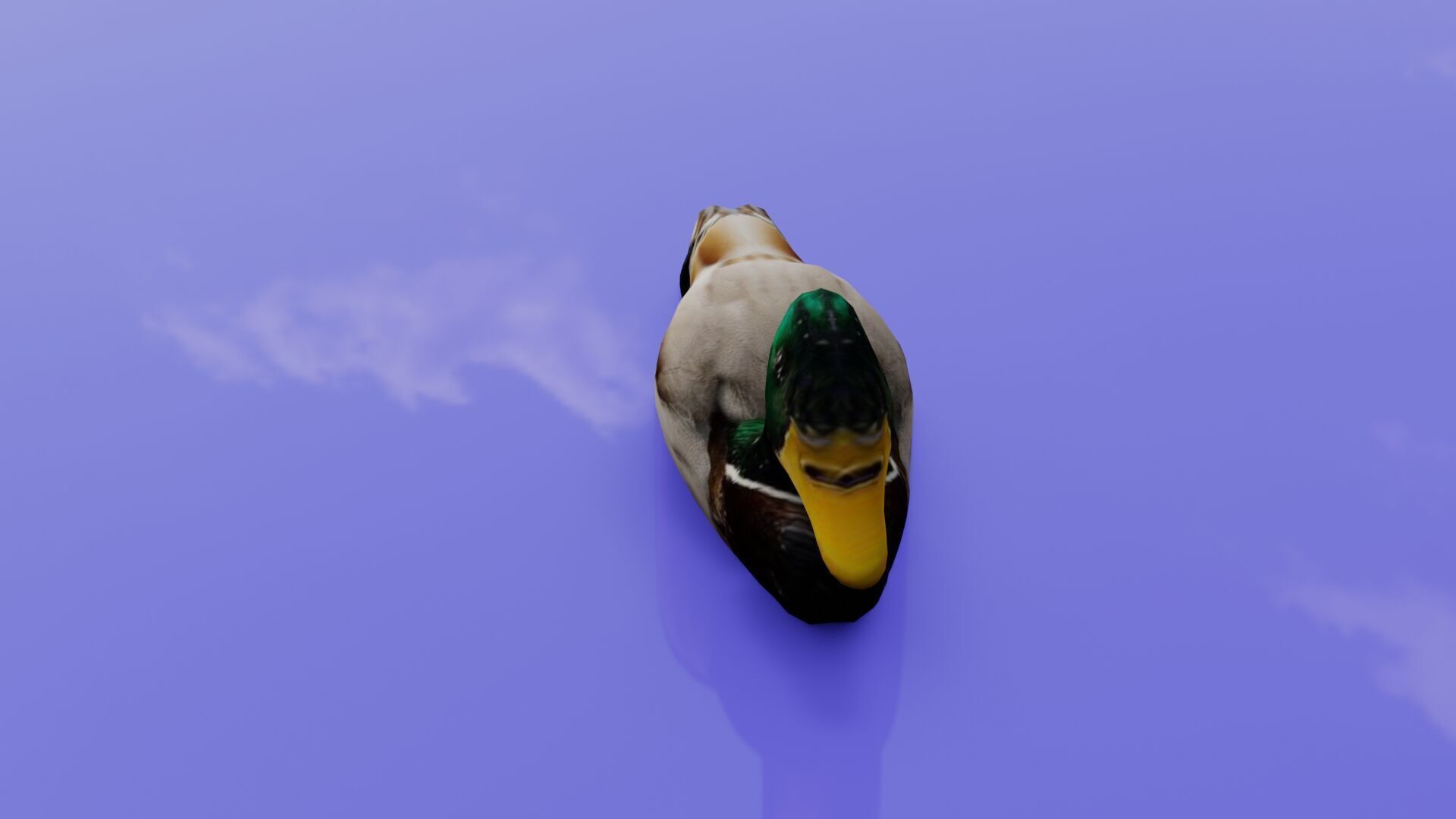 Duck 3D model Low-poly 3D model_26