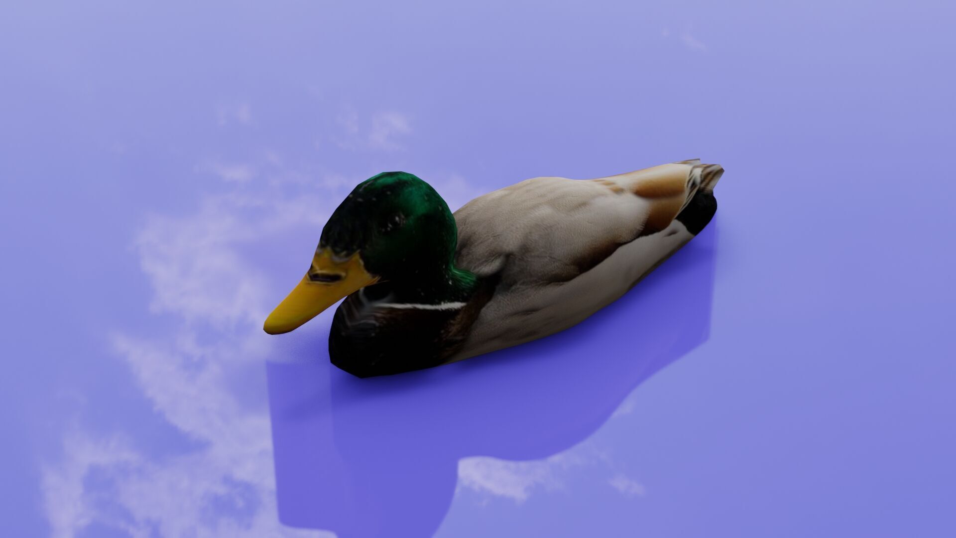 Duck 3D model Low-poly 3D model_14