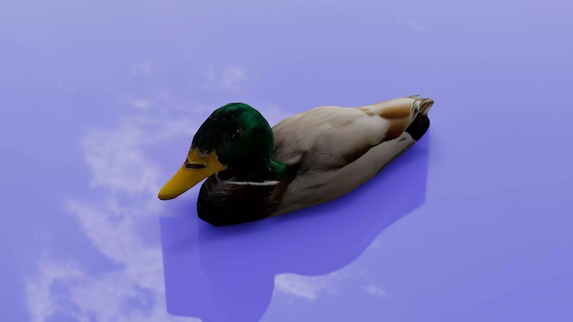 Duck 3D model Low-poly 3D model_0