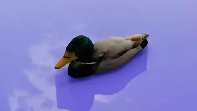Duck 3D model Low-poly 3D model