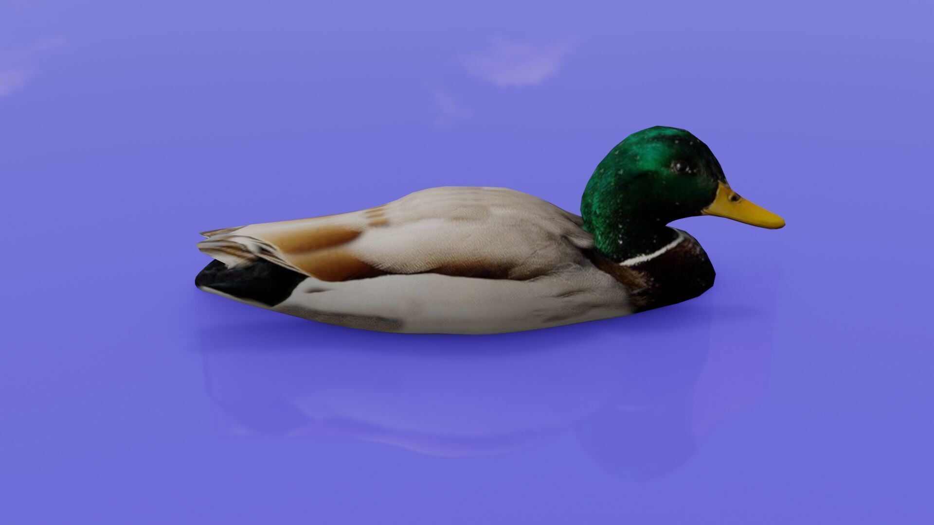 Duck 3D model Low-poly 3D model_27