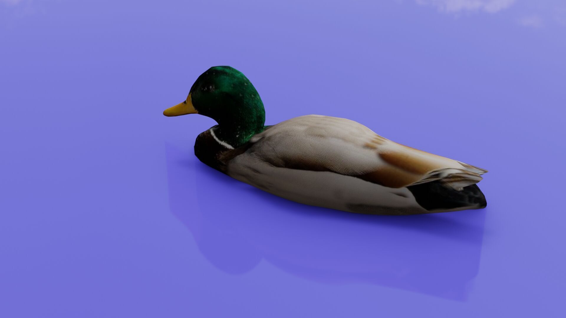 Duck 3D model Low-poly 3D model_34