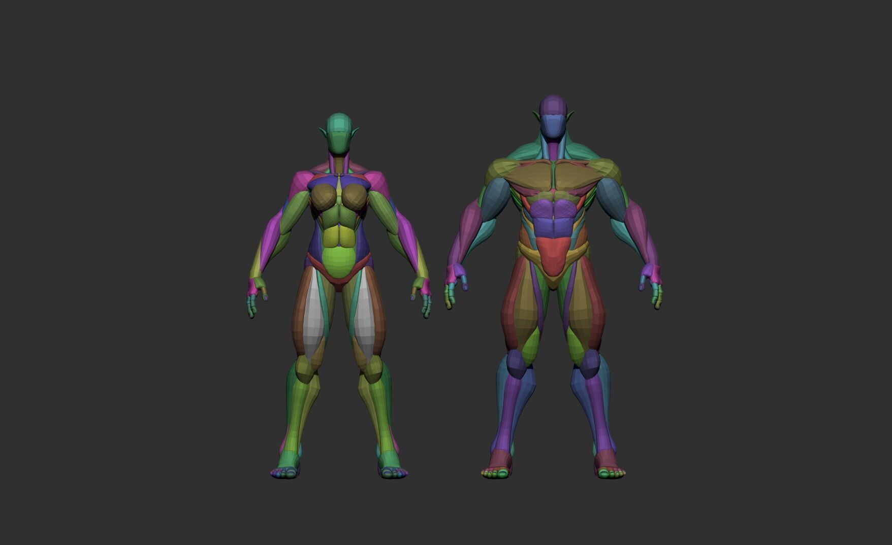 Female and Male Block Model 3D model_7