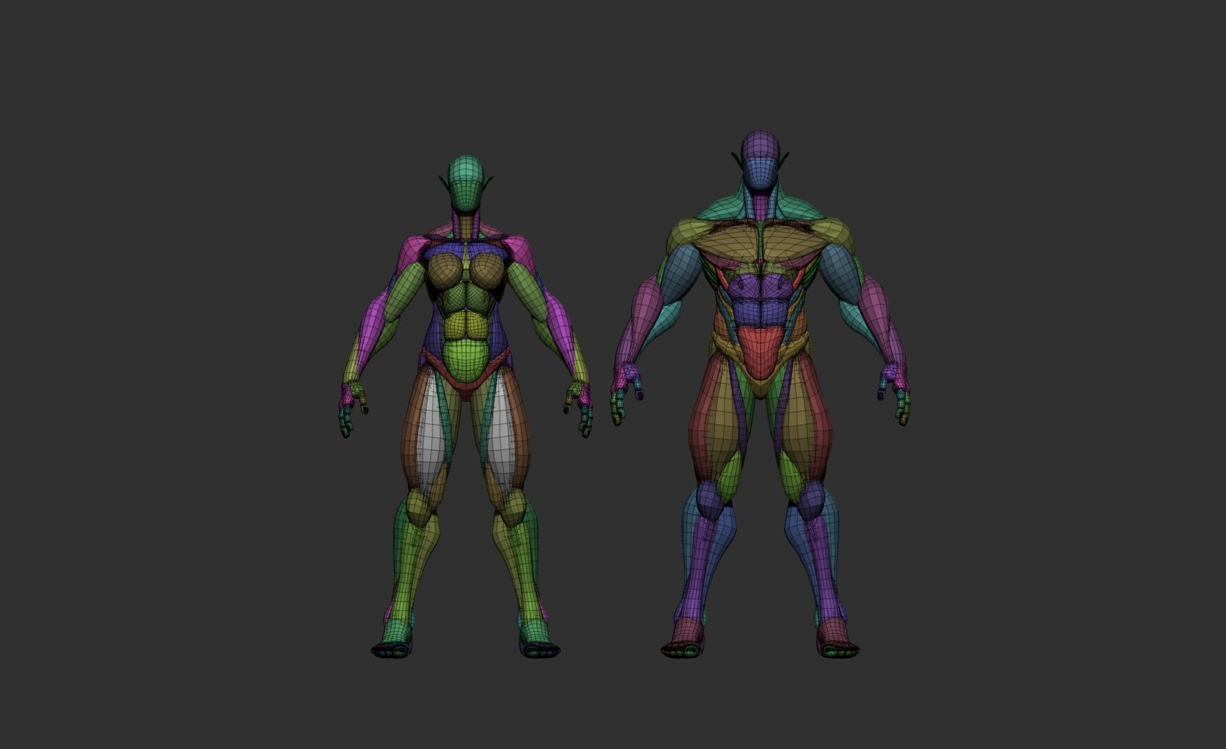Female and Male Block Model 3D model_8