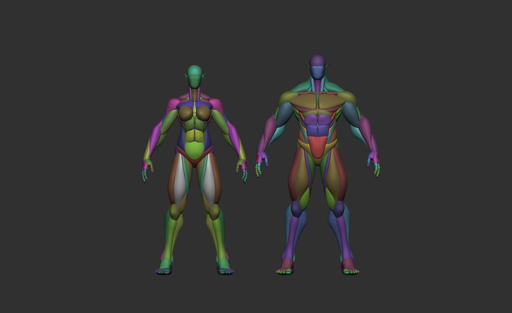 Female and Male Block Model 3D model_10