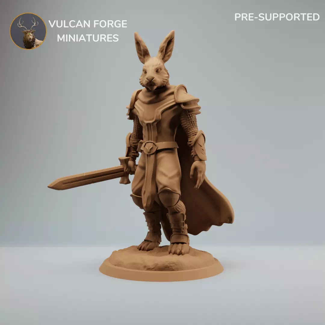 Harengon Rabbit Folk Knight or Paladin Pre supported 3D print model