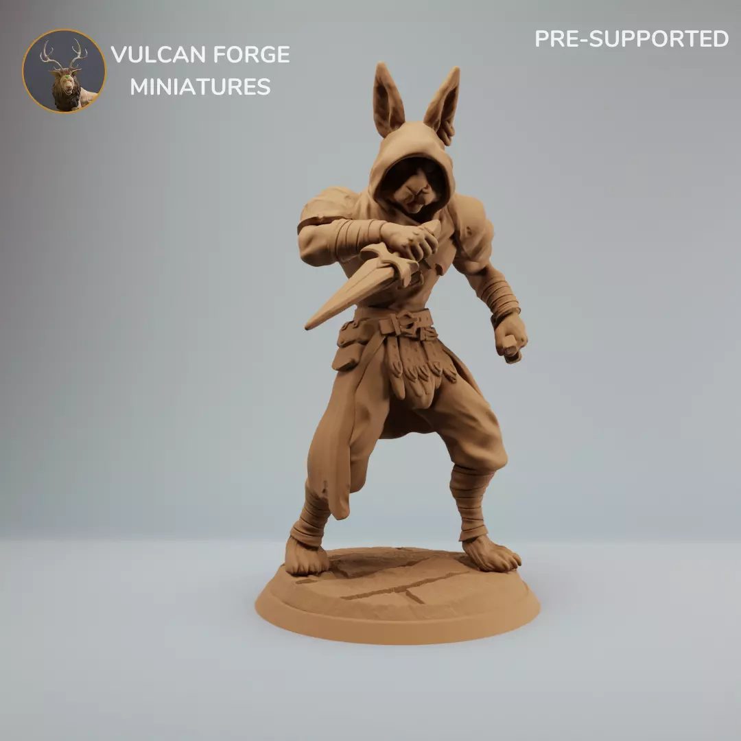 Harengon Rabbit Folk Rogue Assassin - Pre supported 3D print model