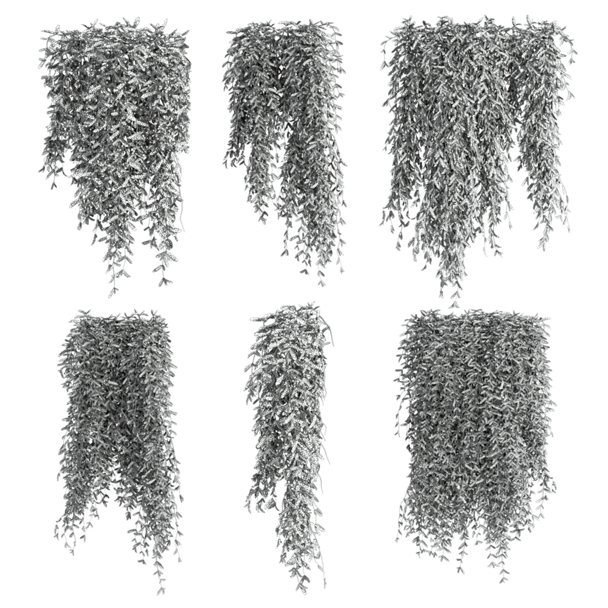 ivy plants 3D model_3