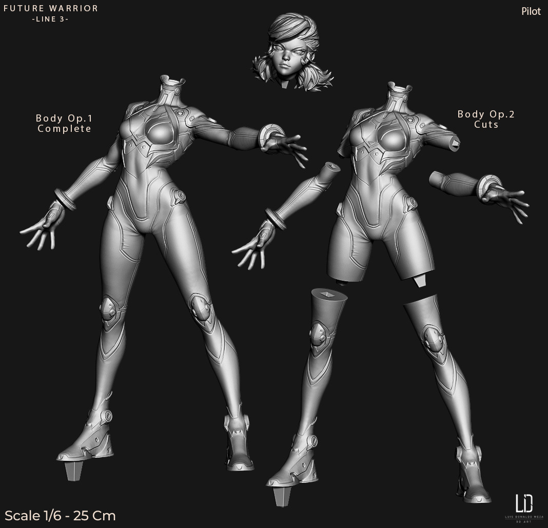 Evangelion - Fan Art -  3D print model_8