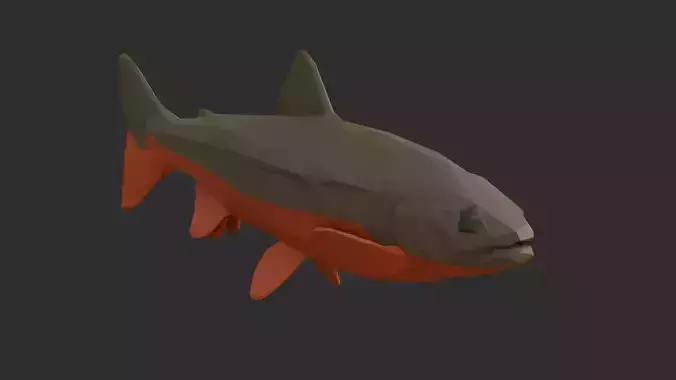 Low Poly Arctic Char Low-poly 3D model Low Poly Arctic Char Low-poly 3D model