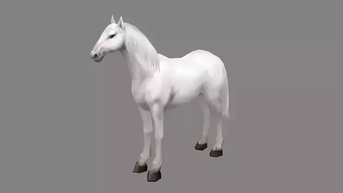 A white horse