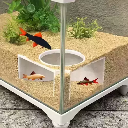 Tunel para peces 13 - acuario - pecera