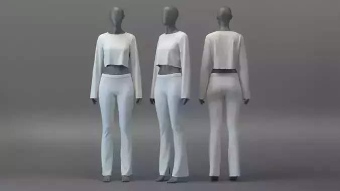 LS Ribbed Crop Top and Flared Pants