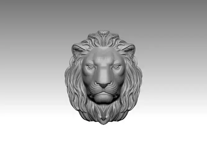 lion head relief