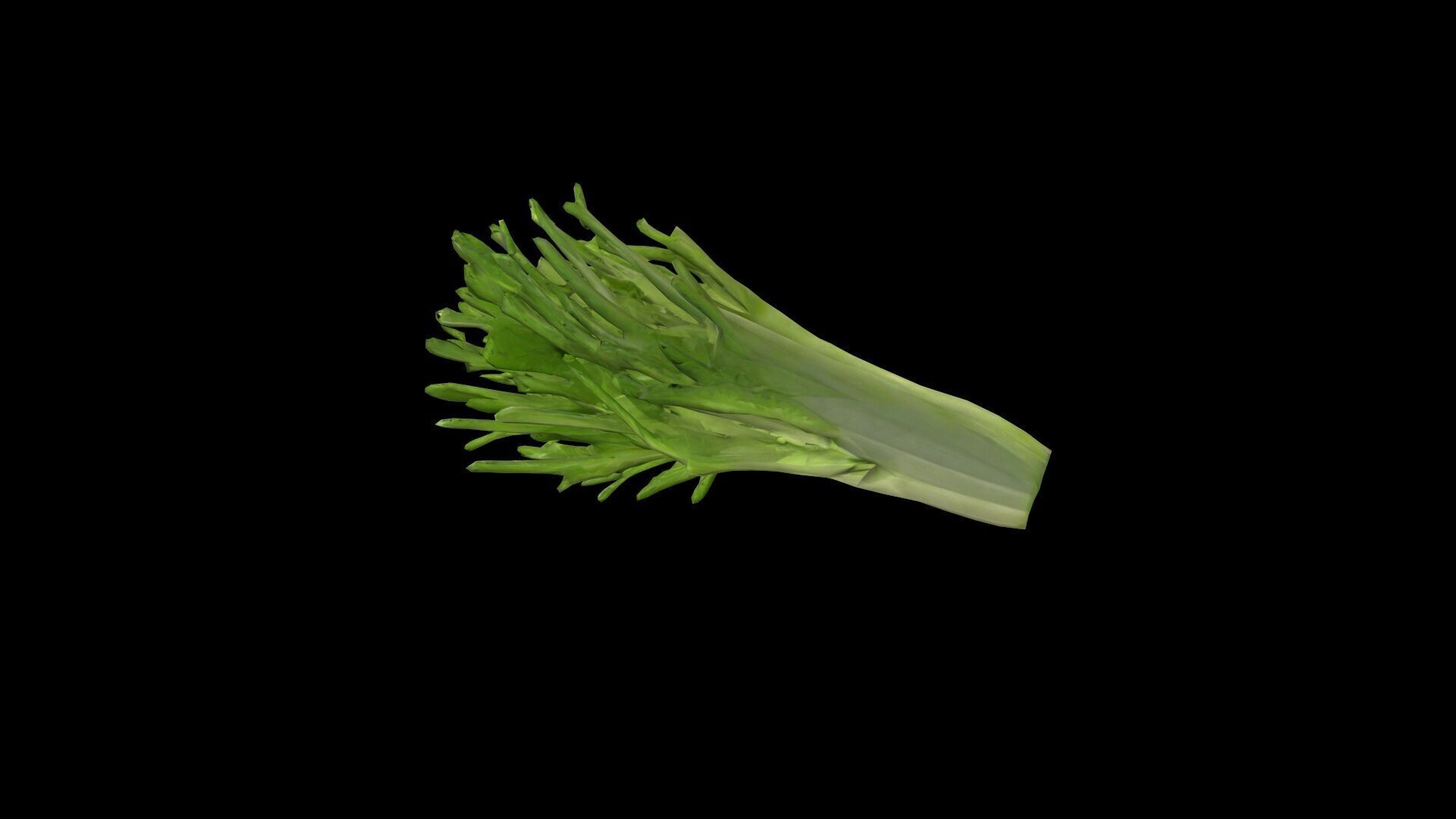 3d Render Cut Celery Sticks And Leaves 3D model_3