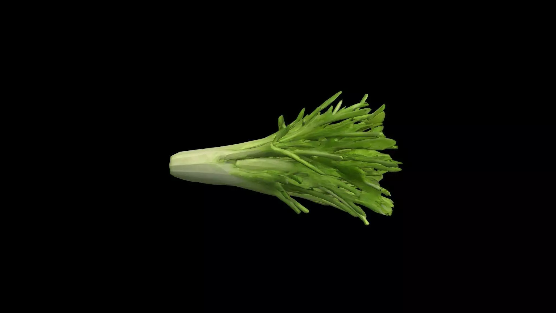 3d Render Cut Celery Sticks And Leaves 3D model_0