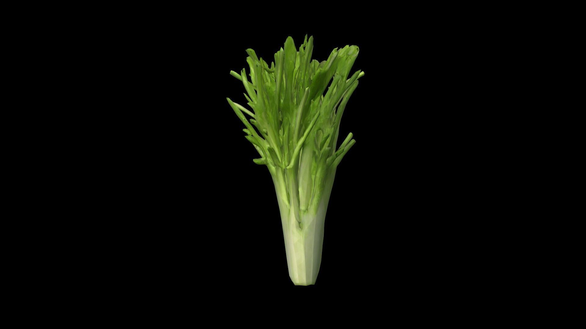 3d Render Cut Celery Sticks And Leaves 3D model_2
