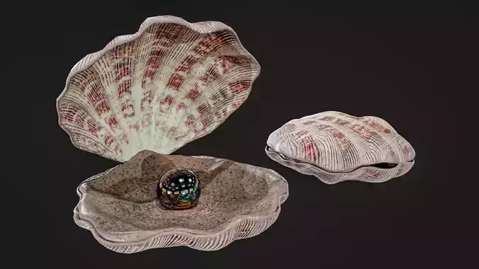Sea Shell With Pearl