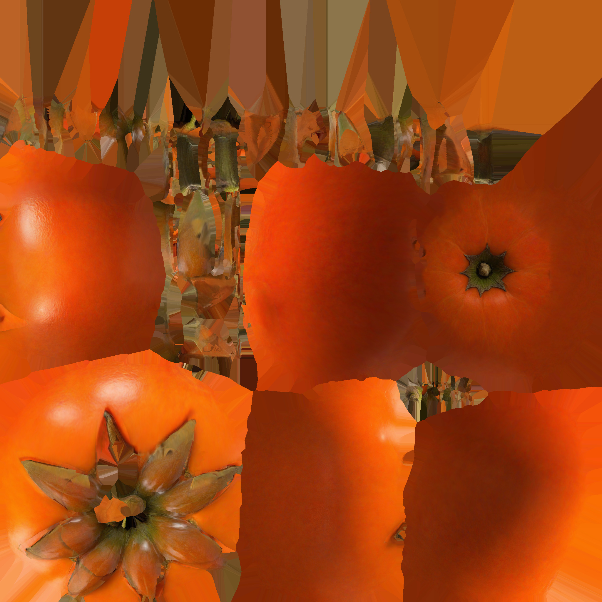 3d Render Delicious Fresh Persimmon Fruit 3D model_7