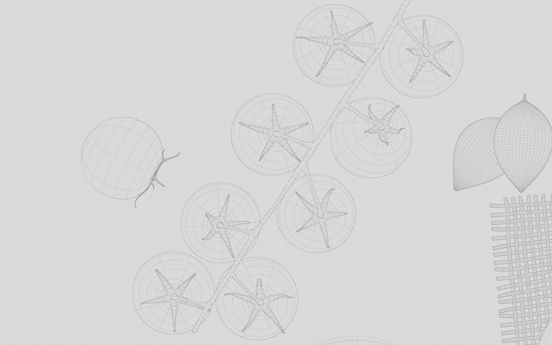 Pasta Plate 3d Scene 3D model_14