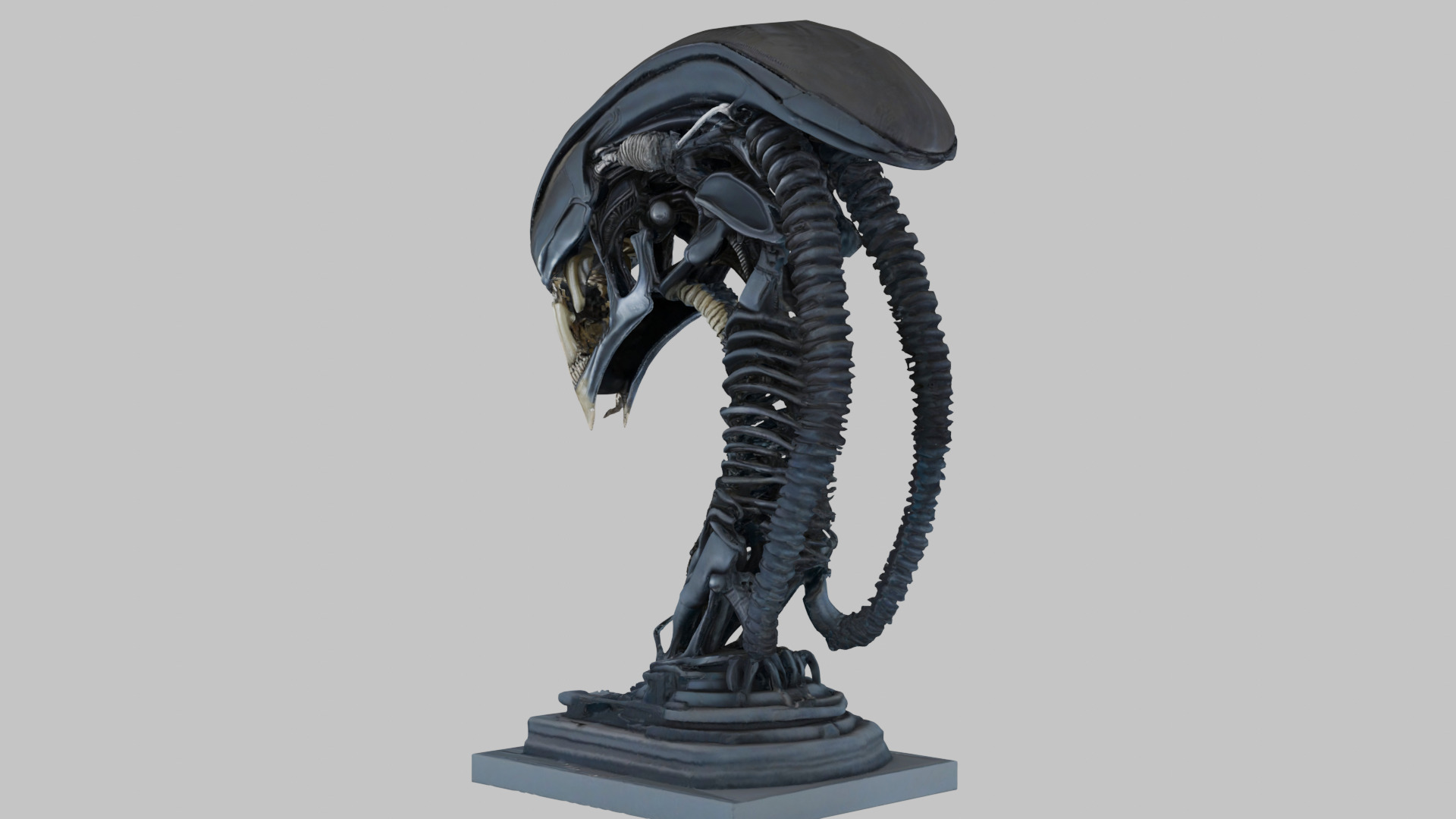 Alien Xenomorph Elongated Skull Head Bust High-Poly Sci-Fi Low-poly 3D model_24