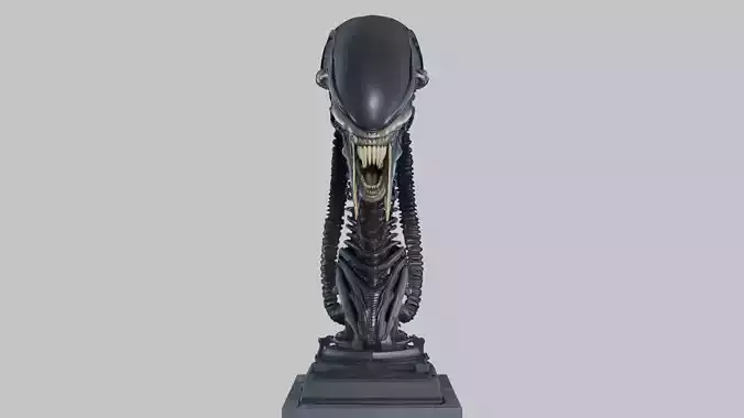 Alien Xenomorph Elongated Skull Head Bust High-Poly Sci-Fi  Low-poly 3D model
