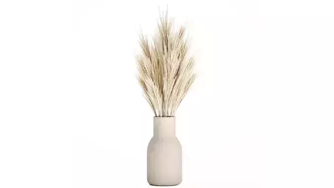 Bouquet Dried Flowers Branches  Cortaderia Pampas 539