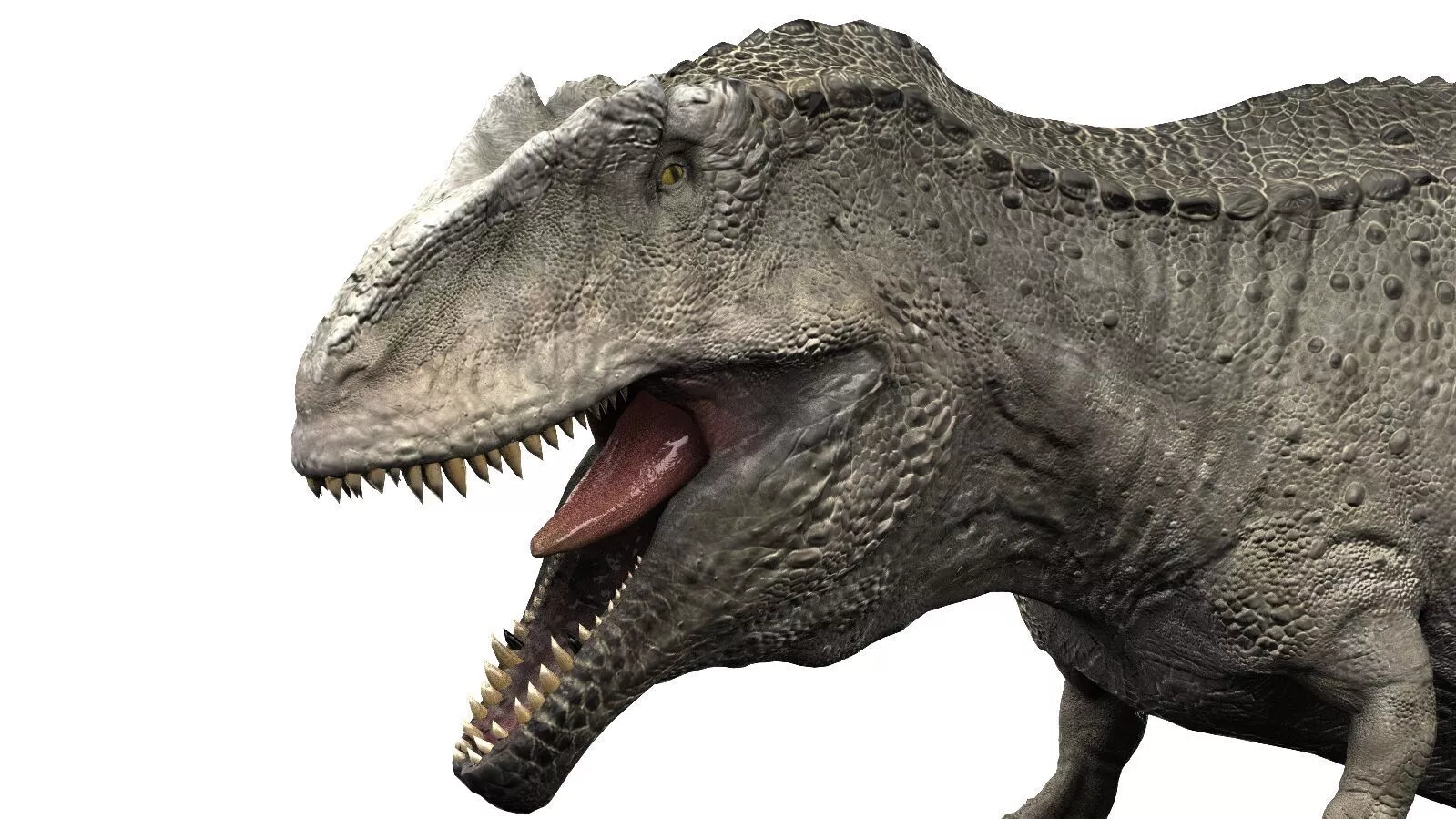 Giganotosaurus The Apex Hunter of Cretaceous South America Low-poly 3D model