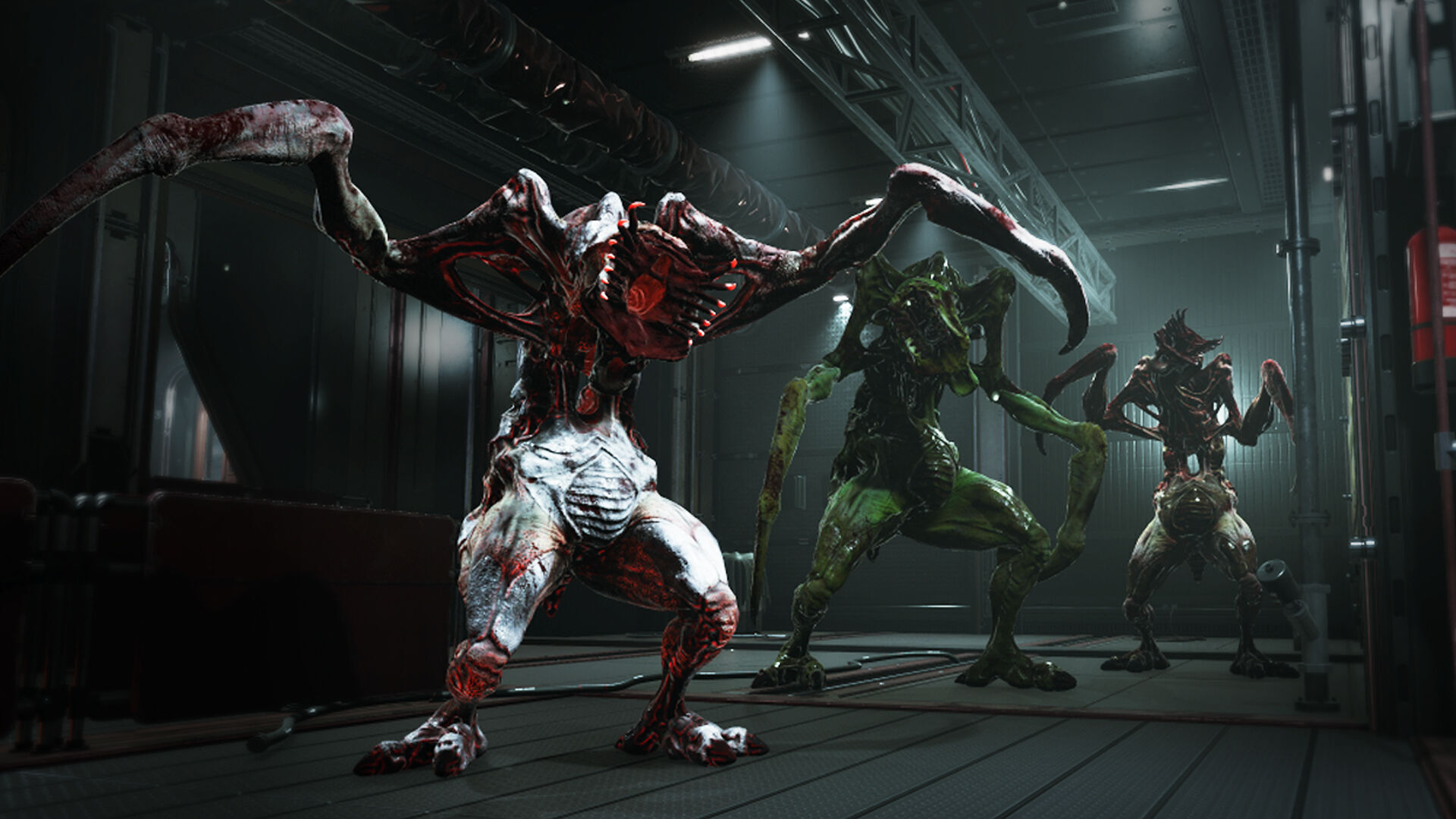 Roach Monster Low-poly 3D model_5