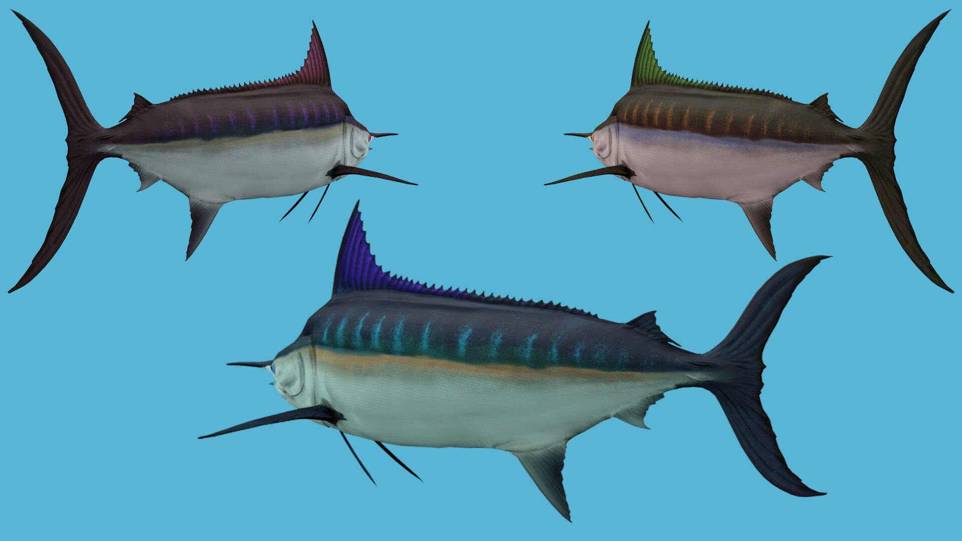 SWORD FISH RIGGED ANIMATED 7 Low-poly 3D model_4