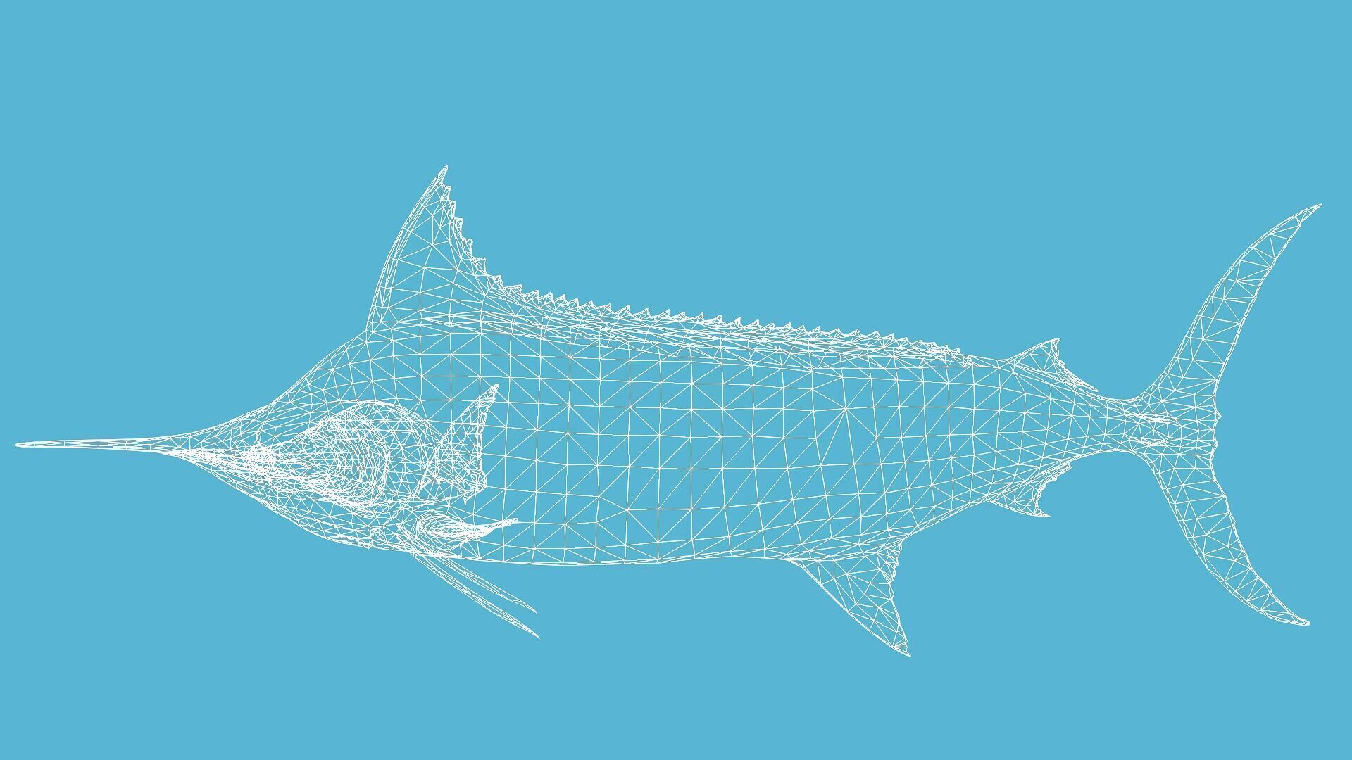 SWORD FISH RIGGED ANIMATED 7 Low-poly 3D model_11