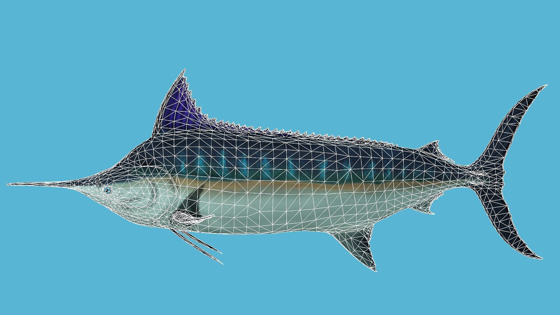 SWORD FISH RIGGED ANIMATED 7 Low-poly 3D model_10