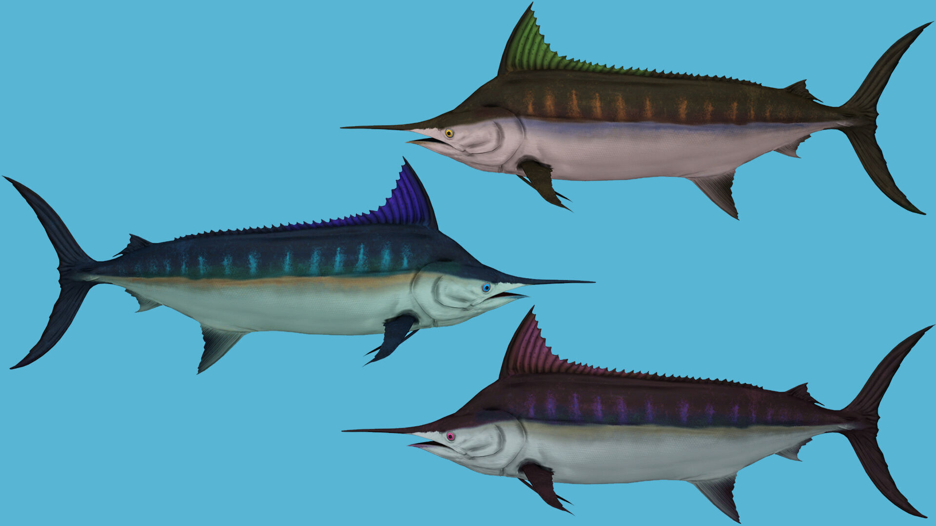 SWORD FISH RIGGED ANIMATED 7 Low-poly 3D model_1