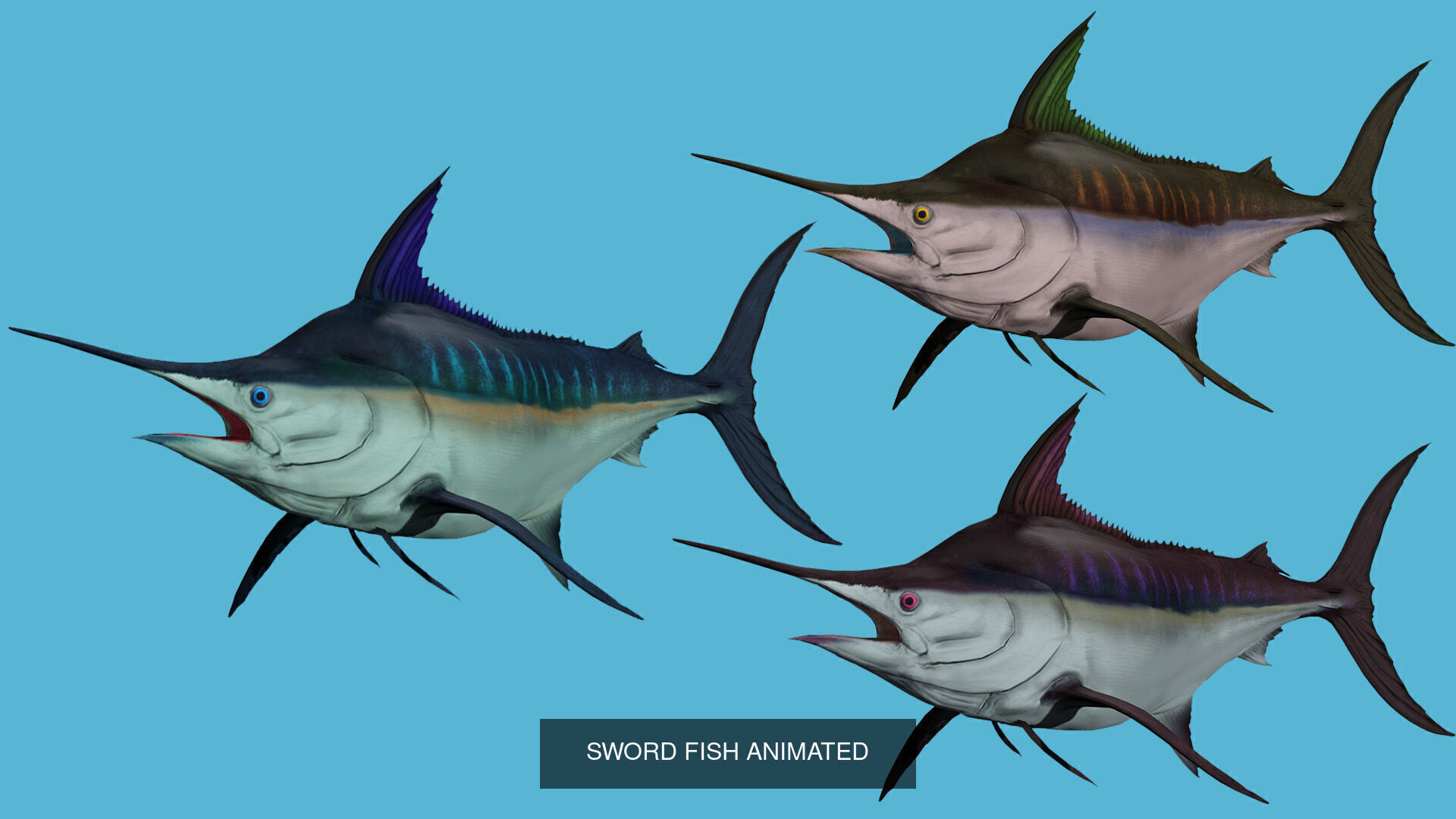 3 PACK OF FISHES COLLECTION _4