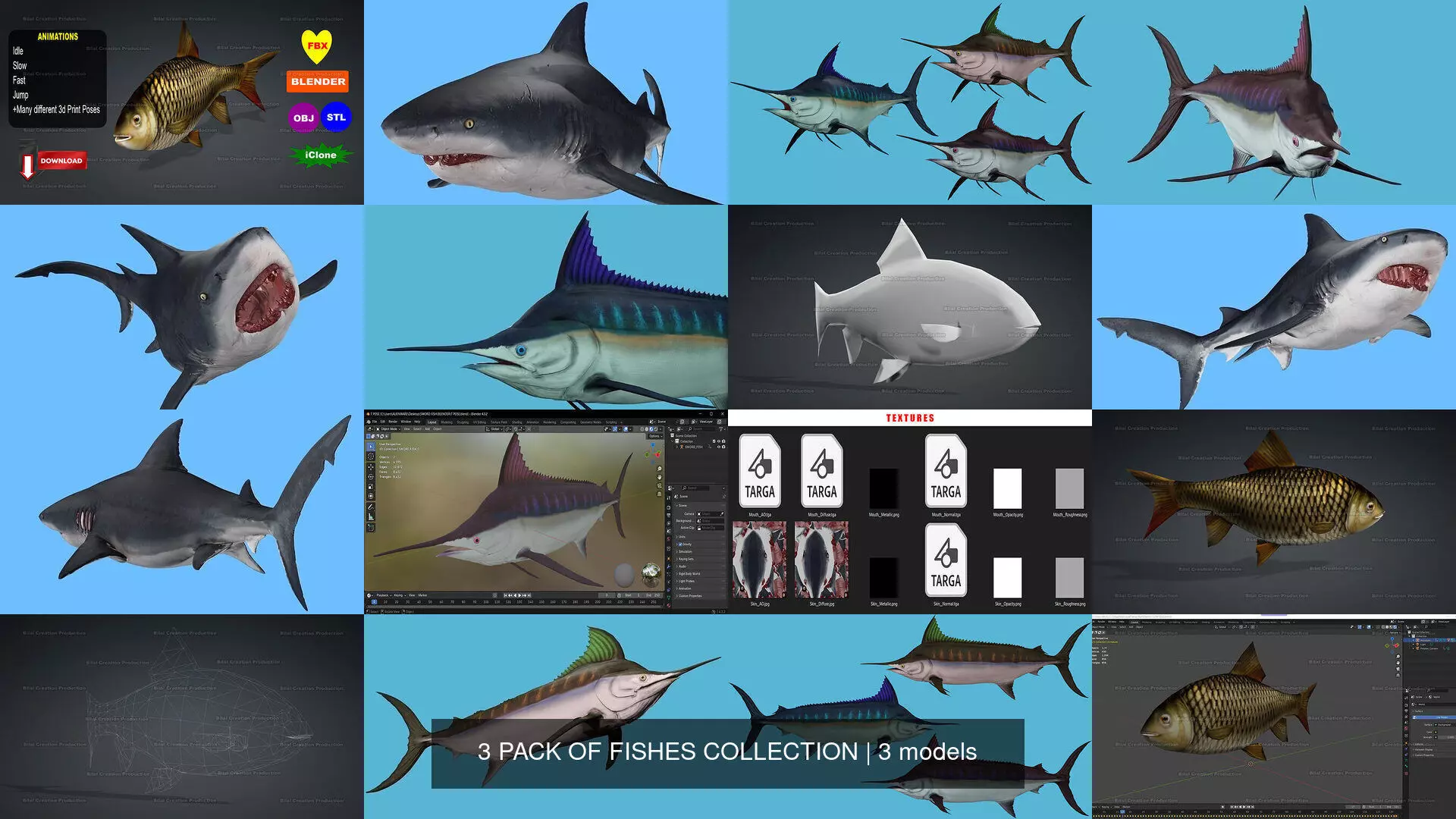 3 PACK OF FISHES COLLECTION _0