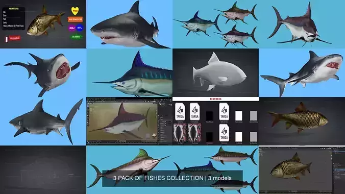 3 PACK OF FISHES COLLECTION 