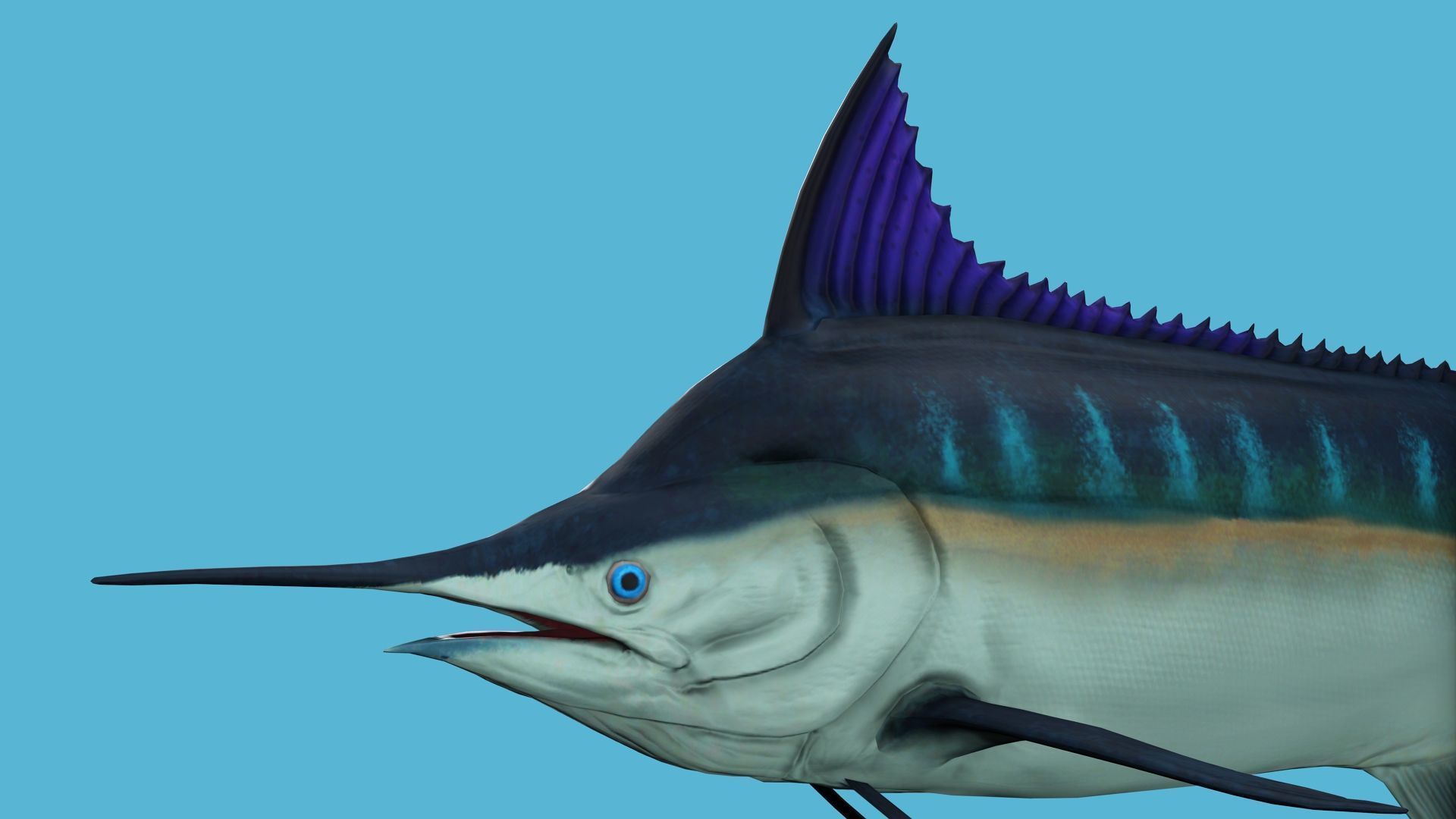 2 PACK OF ANIMATED FISHES COLLECTION _9