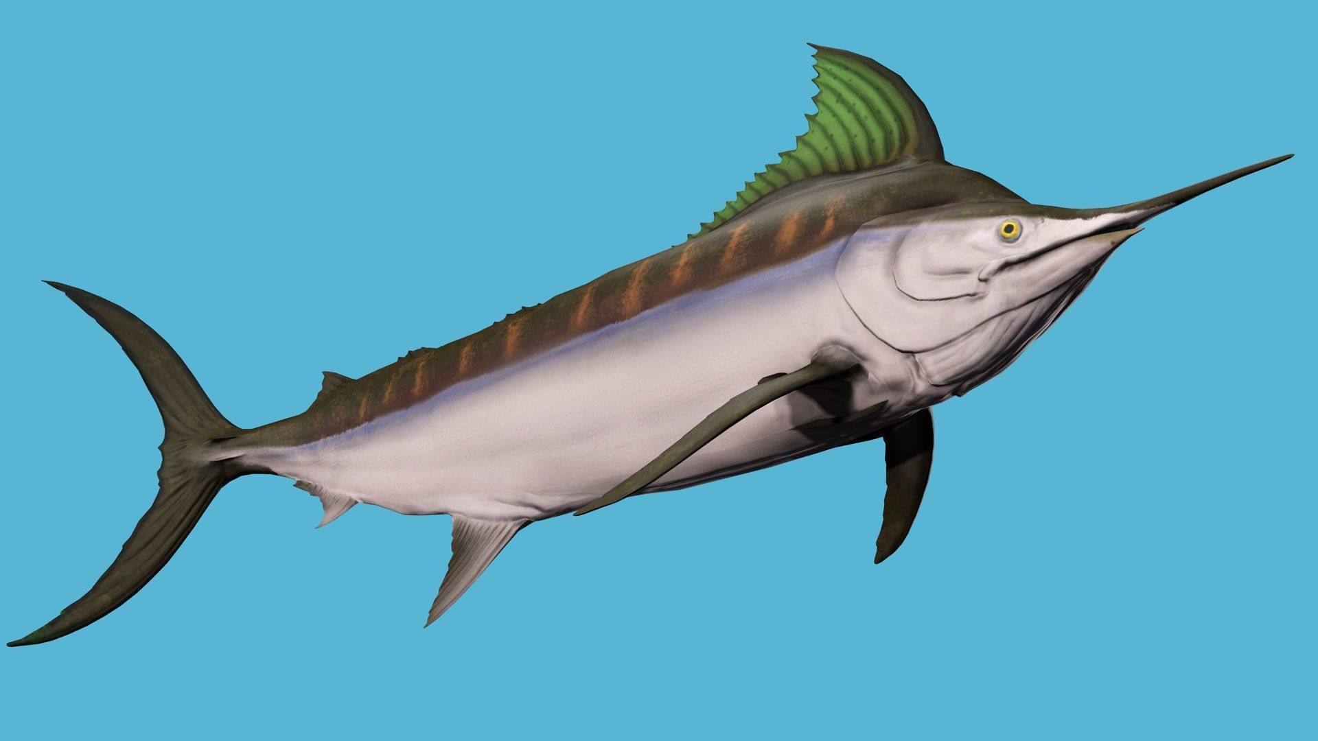 2 PACK OF ANIMATED FISHES COLLECTION _7