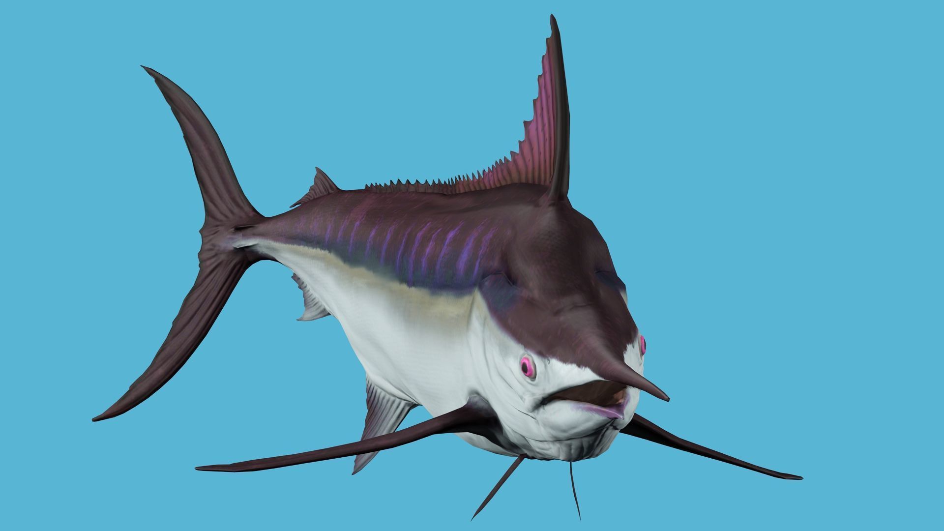 2 PACK OF ANIMATED FISHES COLLECTION _6