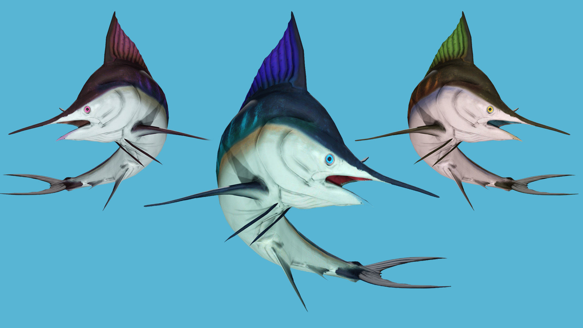 2 PACK OF ANIMATED FISHES COLLECTION _4